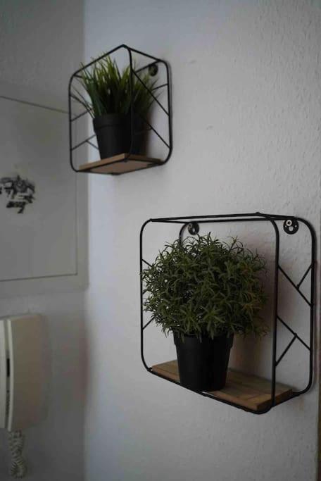 Luftiges Apartment Im Herzen Von Drezno Zewnętrze zdjęcie